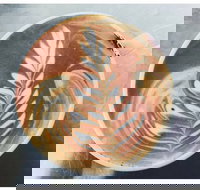 Mareeba Heritage Coffee House - Accommodation Brisbane