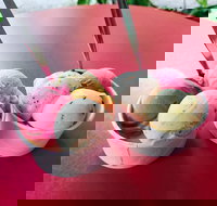 Daintree Ice Cream Company - Accommodation Brisbane