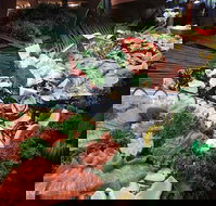 Hotel Settlers - Accommodation Brisbane