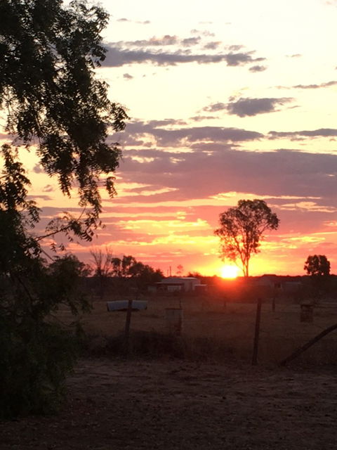 Roses 'n Things Van Park - Accommodation Brisbane 6