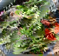 The Spun Yarn Cafe - Accommodation Brisbane