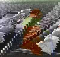 Three Black Sheep Cafe - Accommodation Brisbane