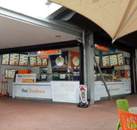Fins  Feathers - Accommodation Brisbane
