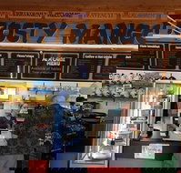 Frosty Mango - Accommodation Brisbane