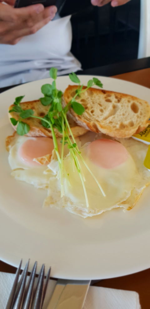 Migaloo's Cafe - Accommodation Brisbane 1