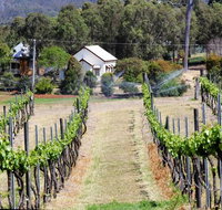 Prendergasts Irish Tavern - Accommodation Brisbane