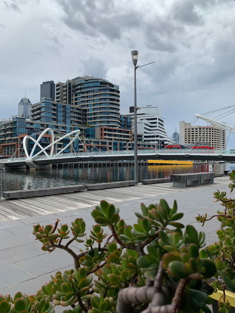 BangPop - Accommodation Brisbane 4
