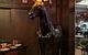 Carmine's Bistro - thumb 5