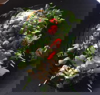 8days Cafe - Accommodation Brisbane