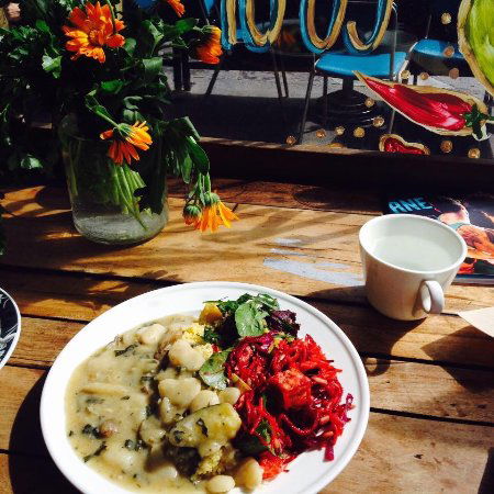 Friends Of The Earth - Accommodation Brisbane 0