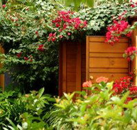 Pink Flamingo - Accommodation Brisbane