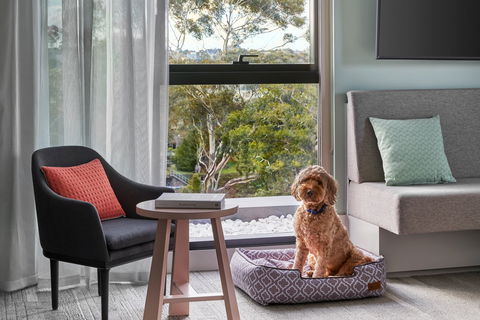 Element Melbourne Richmond - Accommodation Brisbane 2