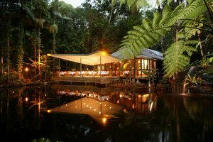 Daintree Eco Lodge & Spa - Accommodation Brisbane 2