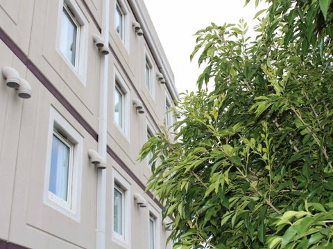 Ibis Newcastle - Accommodation Brisbane 1