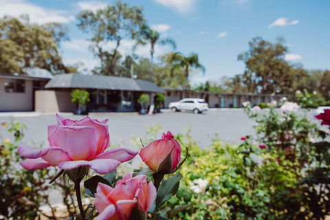 Artesian Spa Motor Inn - Accommodation Brisbane 2