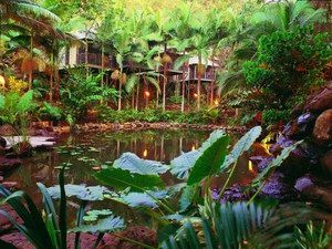 Daintree Eco Lodge & Spa - Accommodation Brisbane 0