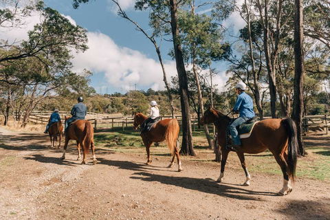 Country Club Tasmania - Accommodation Brisbane 0