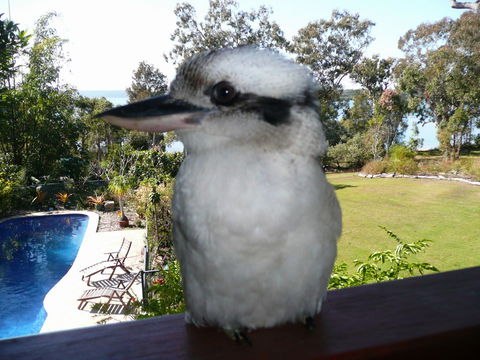 Yarrandabbi Dreaming Boutique B&B - Accommodation Brisbane 2