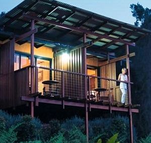 O'Reilly's Rainforest Guesthouse - Accommodation Brisbane 1