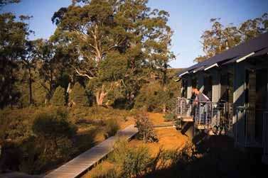 Cradle Mountain Wilderness Village - Accommodation Brisbane 2