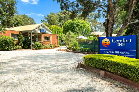 Comfort Inn Coach & Bushmans - Accommodation Brisbane 0