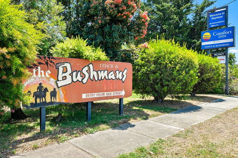 Comfort Inn Coach & Bushmans - Accommodation Brisbane 1