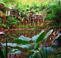 Daintree Eco Lodge  Spa