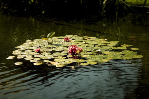 University House - ANU - Accommodation Brisbane 17