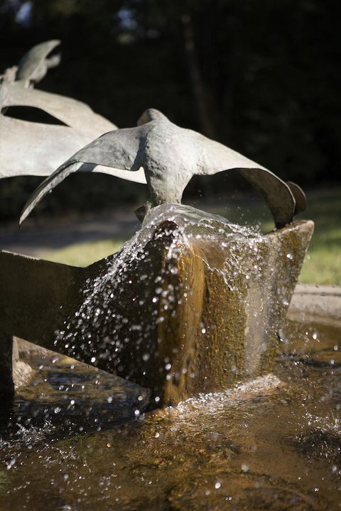 University House - ANU - Accommodation Brisbane 30