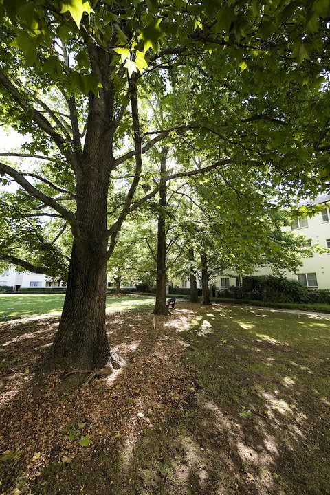 University House - ANU - Accommodation Brisbane 28