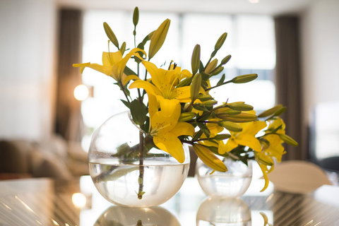 KUI - Manhattan Apartments - Accommodation Brisbane 0