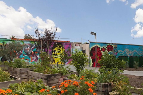 Canberra Luxury Apartment 3 - Accommodation Brisbane 13