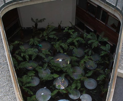 Canberra Luxury Apartment 3 - Accommodation Brisbane 32