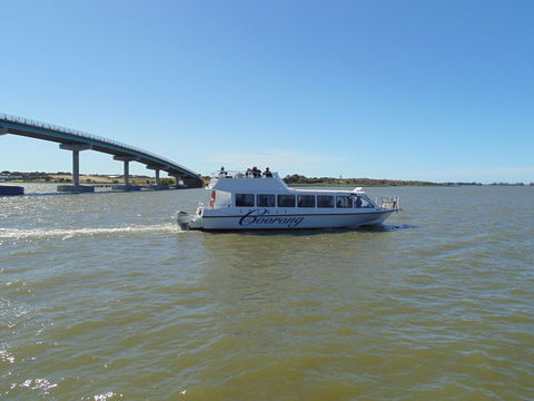 Baronet B & B - Accommodation Brisbane 28