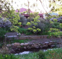 Frog Song at Willunga - Accommodation Brisbane
