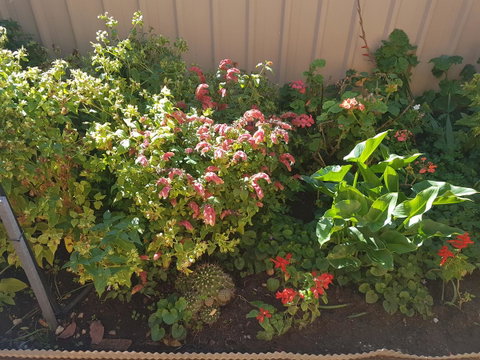 Tanunda\'s Magpie House - Accommodation Brisbane 24