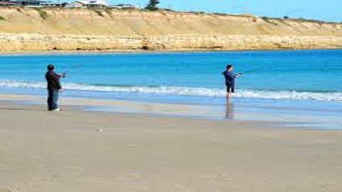 Eastern Breeze - Accommodation Brisbane 36