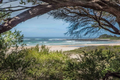 BIG4 Tasman Holiday Parks - Racecourse Beach - Accommodation Brisbane 7
