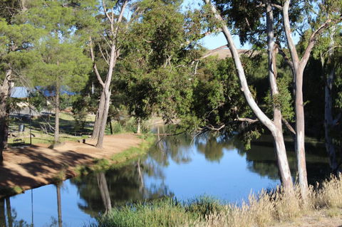 Hillside Cottage - Accommodation Brisbane 11