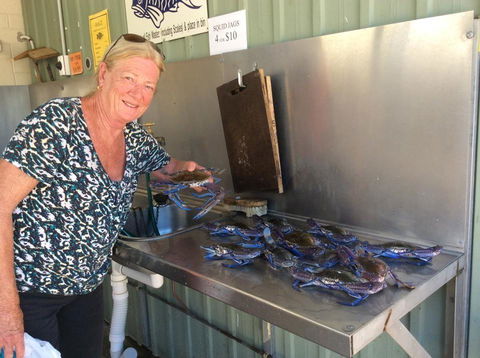 Ceduna Foreshore Caravan Park - Accommodation Brisbane 28