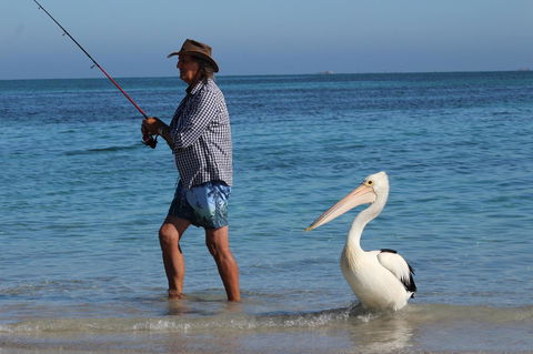 Ceduna Foreshore Caravan Park - Accommodation Brisbane 21