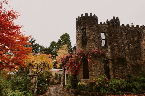 The Manor Basket Range - Accommodation Brisbane 15