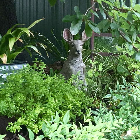 Hahndorf Oak Tree Cottages - Accommodation Brisbane 12