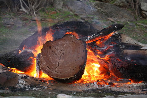 Rabbiters Hut - Accommodation Brisbane 15