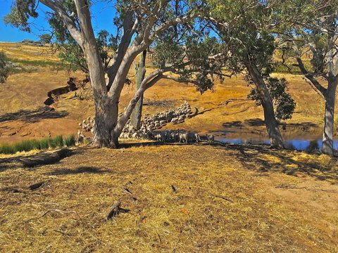 Rabbiters Hut - Accommodation Brisbane 22