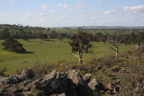 Rabbiters Hut - Accommodation Brisbane 28