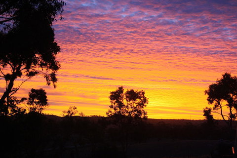 Rabbiters Hut - Accommodation Brisbane 33