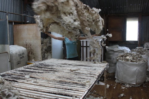 Rabbiters Hut - Accommodation Brisbane 19