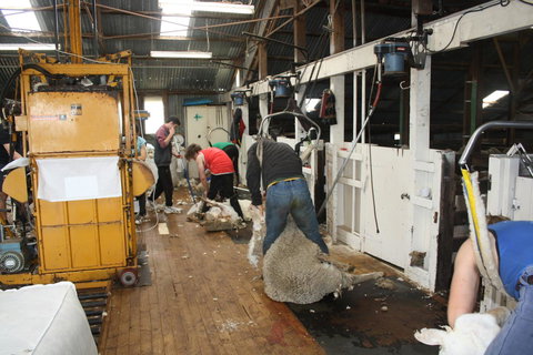 Rabbiters Hut - Accommodation Brisbane 18