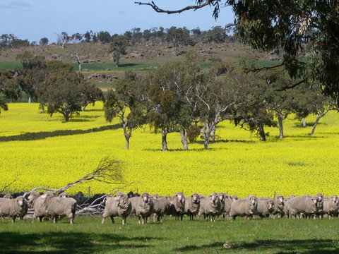 Rabbiters Hut - Accommodation Brisbane 16